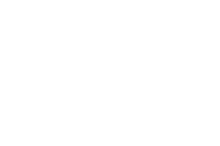 Vertical Clean Groups